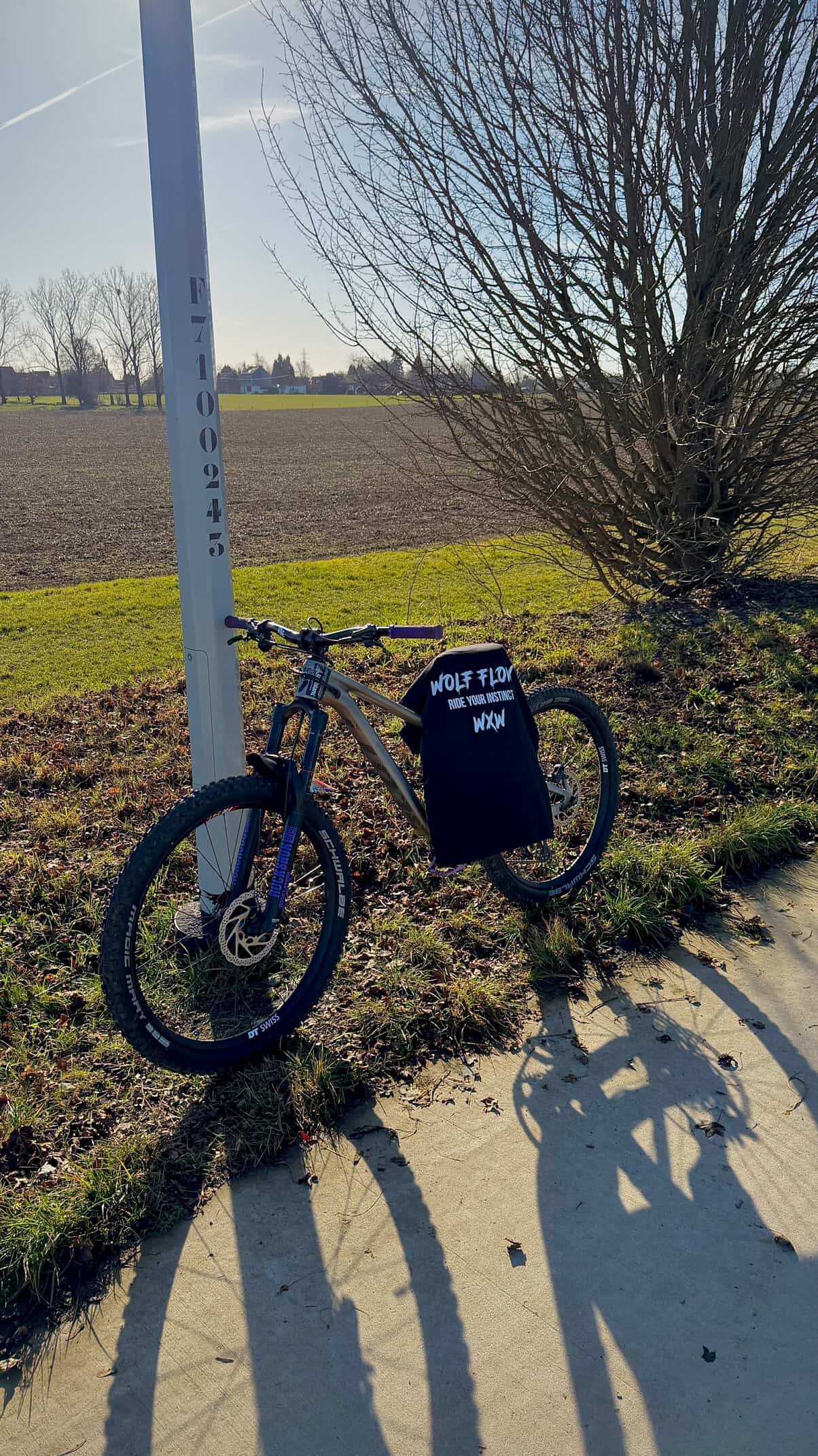 freeride